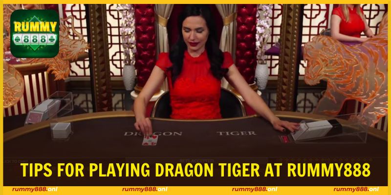 Apply Dragon Tiger tips to win big consistently
